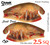 2.5 Square Bill Single Color 2 Pack