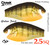 2.5 Square Bill Single Color 2 Pack