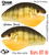 Rapa DT10 Single Color 2 Pack