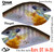 Rapa DT14-20 Single Color 2 Pack