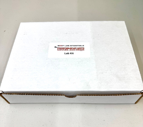 The New School - Electronics BEEP Class Lab Kit