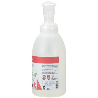 Ginger Lily Farms Botanicals Foaming Hand Soap, Apple Pear, 20 oz. Pump Bottle