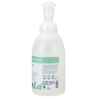 Ginger Lily Farms Botanicals Foaming Hand Soap, Eucalyptus Tranquility, 20 oz. Pump Bottle
