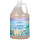 Ginger Lily Farms Botanicals Lavender Plant-Based Laundry Detergent, 1 Gallon