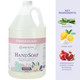 Ginger Lily Farms Botanicals Foaming Hand Soap, Whispering Rose, 1 Gallon Refill