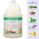 Ginger Lily Farms Botanicals Basil Conditioning Hand Soap, 1 Gallon (Pack of 4)