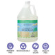 Ginger Lily Farms Botanicals Plant-Based Foaming Spray Dish Soap, Basil Scent, 1 Gallon Refill