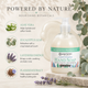 Ginger Lily Farms Botanicals Eucalyptus Tranquility Conditioning Hand Soap, 16.9oz, Pack of 6