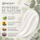 Ginger Lily Farms Botanicals Eucalyptus Tranquility Moisturizing Conditioner, 16.9oz, Pack of 6