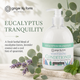 Ginger Lily Farms Botanicals Eucalyptus Tranquility Moisturizing Conditioner, 16.9oz, Pack of 6