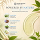Ginger Lily Farms Botanicals Island Tranquility Nourishing Body Wash, 16.9oz
