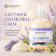 Ginger Lily Farms Botanicals Lavender Chamomile Moisturizing Shampoo, 16.9oz