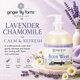 Ginger Lily Farms Botanicals Lavender Chamomile Nourishing Body Wash, 16.9oz, Pack of 6