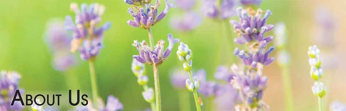 About Pure Essential Oil Works