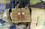 Right Two Bear Arms Set