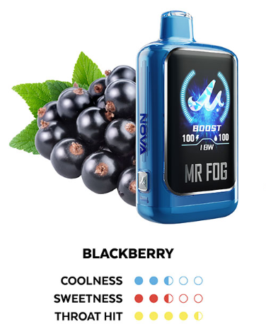MR FOG NOVA BLUE RAZZ STEZZY BLACKBERRY