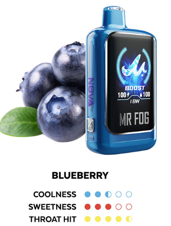 MR FOG NOVA BLUE RAZZ STEEZY BLUEBERRY