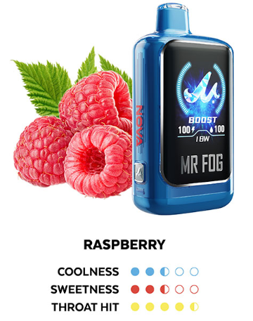 MR FOG NOVA BLUE RAZZ STEZZY raspberry