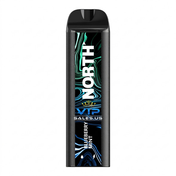 North 5000 Puff Disposable Vape — Raspberry Mint