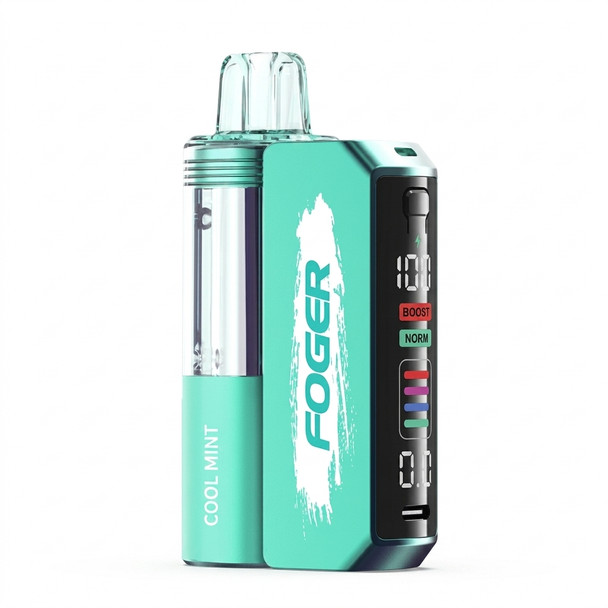 Foger Switch Pro Kit 5% — Cool Mint