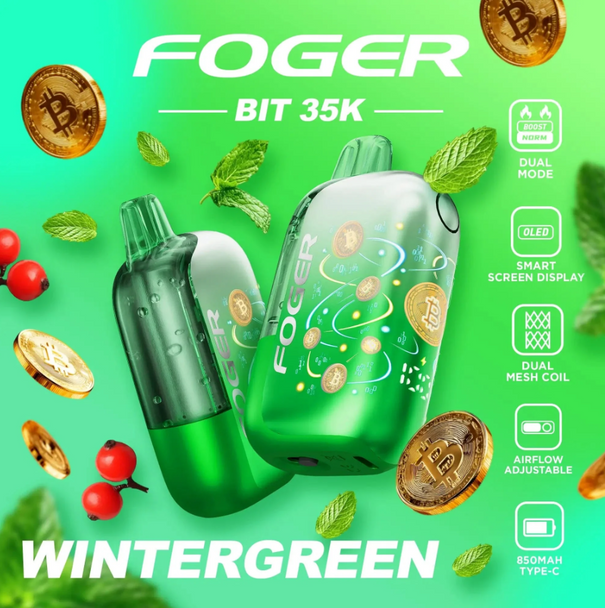 Foger Bit 35K Disposable Vape - Wintergreen
