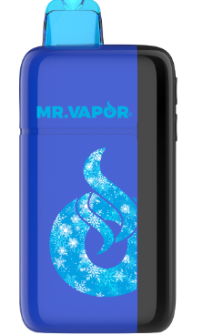 Mr Vapor Arctic Disposable Vape: Blue Razz Gush