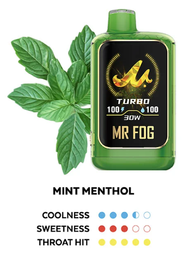 MR FOG NOVA MINT STEEZY MENTHOL
