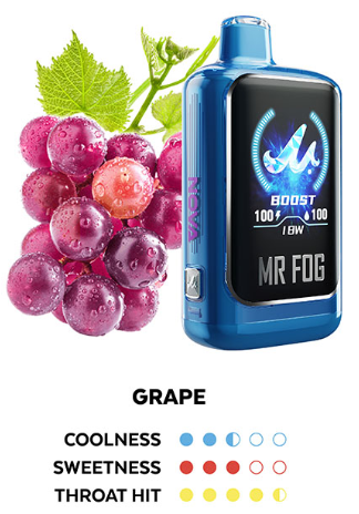 MR FOG NOVA BLUE RAZZ STEZZY GRAPE