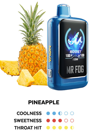 MR FOG NOVA BLUE RAZZ STEZZY pineapple