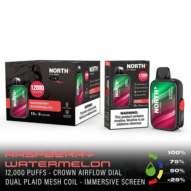 North FT12000 Disposable Vape — Raspberry Watermelon