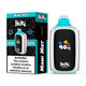 Beri Crush 50K Puffs Disposable Vape — Miami Mint