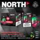 North FT12000 Disposable Vape -Raspberry Watermelon