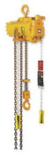 Ingersoll-Rand ML250KR-1R10-R6U Hoist, Air Chain, Spark Resistant, 1/4 Ton