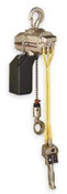 Ingersoll-Rand PALP250K-2C10-6F1U Hoist, Air Chain, 550 Lb Cap, 10 Ft Lift