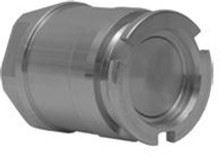 Dixon DDA200BR 2" Brass Adapter x Female NPT