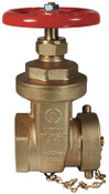 Dixon GWDGV250F 2 1/2 FNPT X 2 1/2 MNST GATE VALVE WITH CAP AND CHAIN CAST BRASS