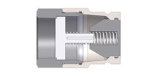 Dixon HT16BF16 2" ISO-FF Nipple, 2" BSPP, Steel 101019-16