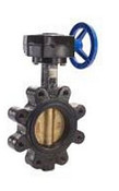 Legend Valve 116-642 2-1/2" T-365AB-G Butterfly Valve, Lug Type, EPDM Seat, Gear Operator
