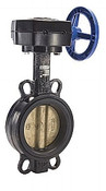 Legend Valve 116-442 2-1/2" T-335AB-G Cast Iron Butterfly Valve, Wafer, Gear Operator