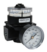 Dixon R21-06RG 3/4" ZINC BODY DIAL AIR REGULATOR