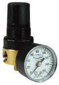 Dixon R364-02CG 1/4" Brass Mini Regulator w/Gauge