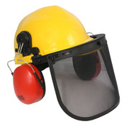 Radians 300-RVM Hard Hats & Headgear, Loggers Combo, Ratchet Sus. with Muff & Mesh Visor