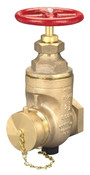 Dixon WDGV250NYFD 2.5" FNPT X 2.5" MNYFD UL GATE VALVE BRASS