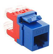 MODULE, CAT 6, HD, BLUE