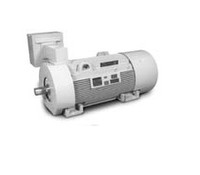 Baldor ECP44204T-2341 Motor, Severe Duty, Medium Voltage, Three Phase, 2300/4000 Volts
