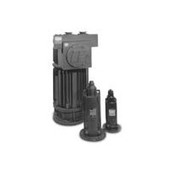 Baldor P18G2791 Submersible Motors, Three Phase, TENV, Hp: 2