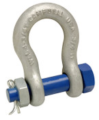 Campbell 5392035 1-1/4" Anchor Shackle, Bolt Type, Forged Carbon Steel, Galvanized, Bulk