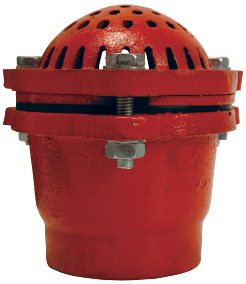 Dixon DFVS20 1 1/2" Cast iron Painted Foot Valve