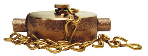 Dixon FC250F-D 2-1/2" Pin Lug Domestic Brass Cap
