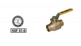 Legend Valve 101-089 2-1/2" S-1002 Ball Valve, Full Port, C x C